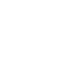 Integrated Execution Model