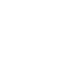 Security & Reliability